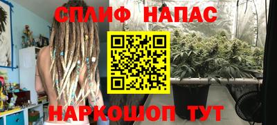 молекула духа Краснодар