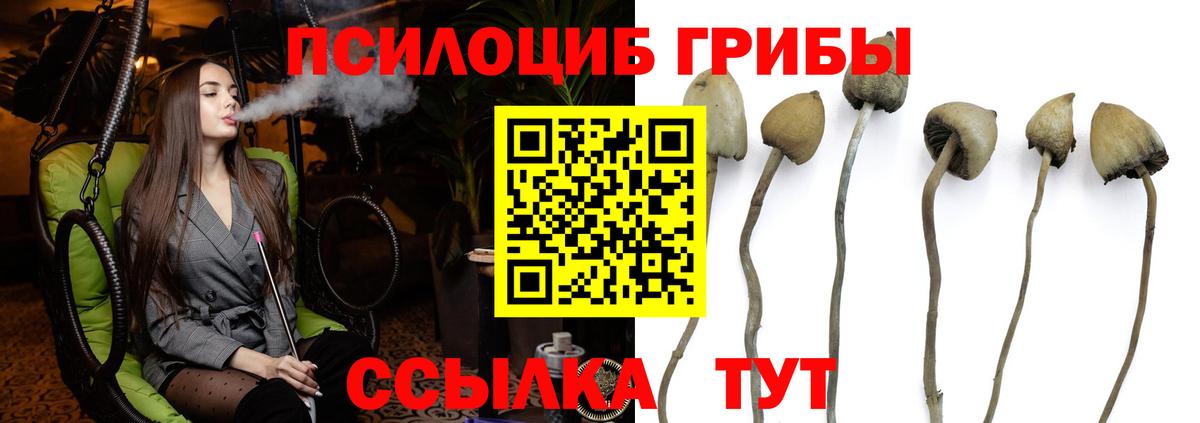 Галлюциногенные грибы мухоморы Ипатово